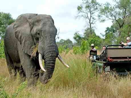 South African Countryside & Safari Self-drive